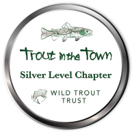 TinTT Silver badge FoBB